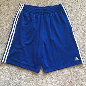 Adidas ClimaCool Shorts